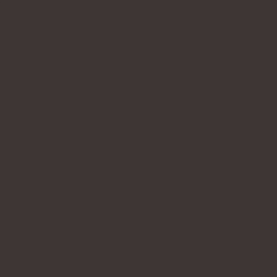 PAINT COLOR